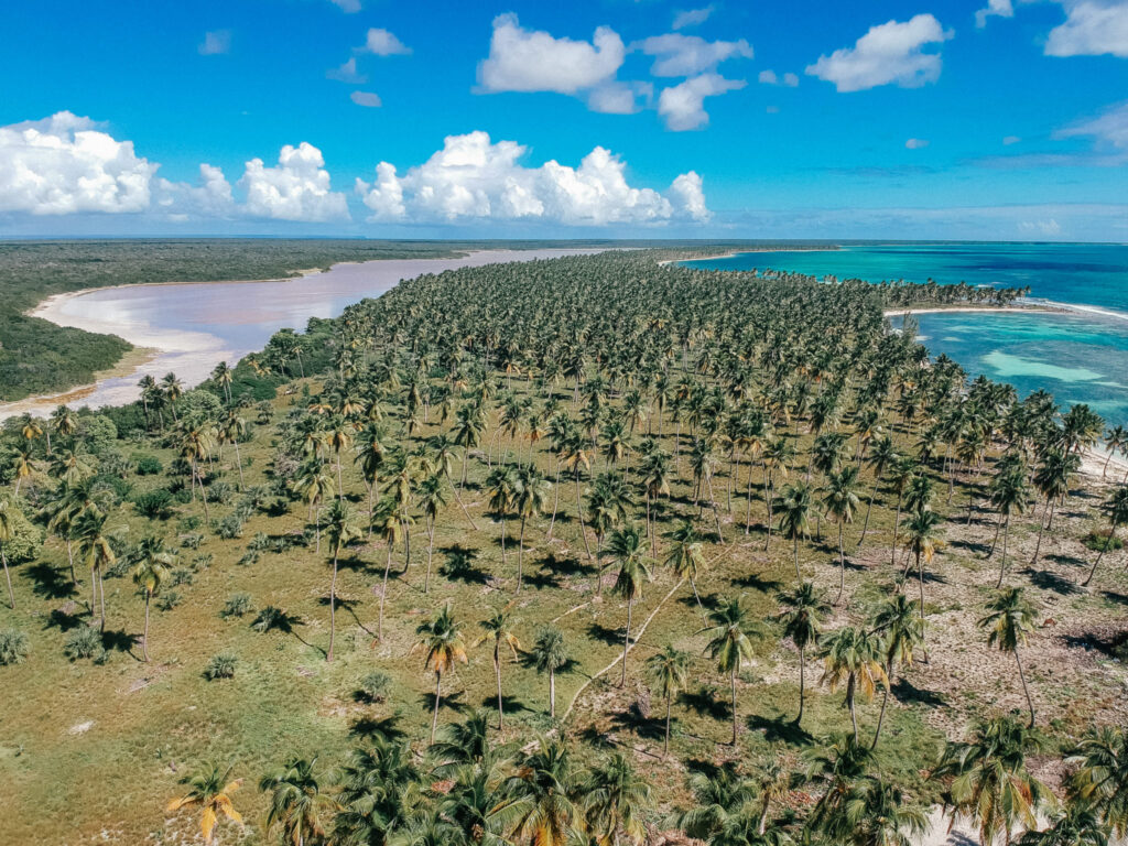 Dominikana Isla Saona