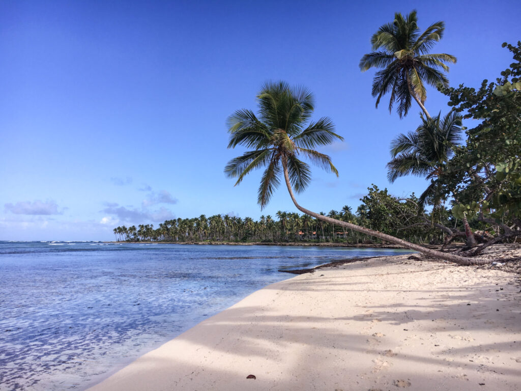 Dominikana Las Galeras