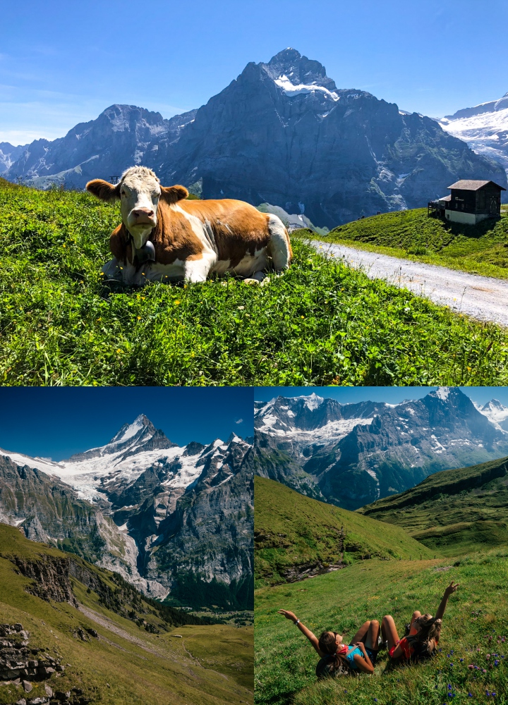 szwajcaria-Grindelwald szwajcaria-Grindelwald