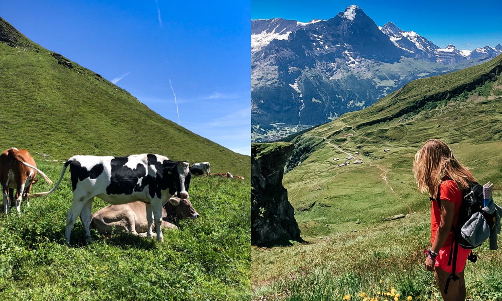 Grindelwald Grindelwald