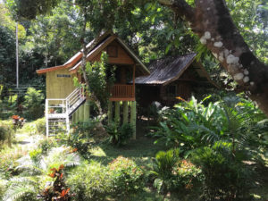 Resort Khao Sok