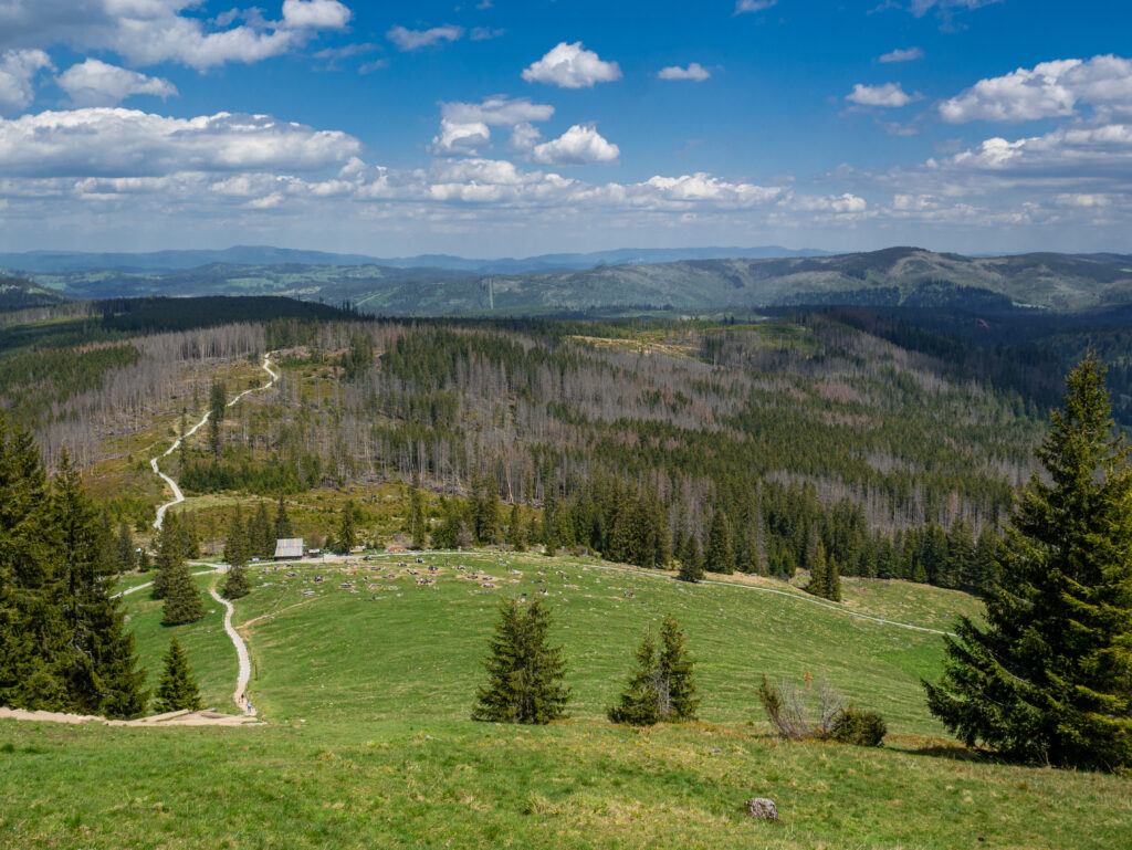 Szlaki w Tatrach