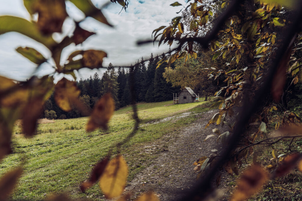 Beskid Wyspowy - szlak na Mogielice