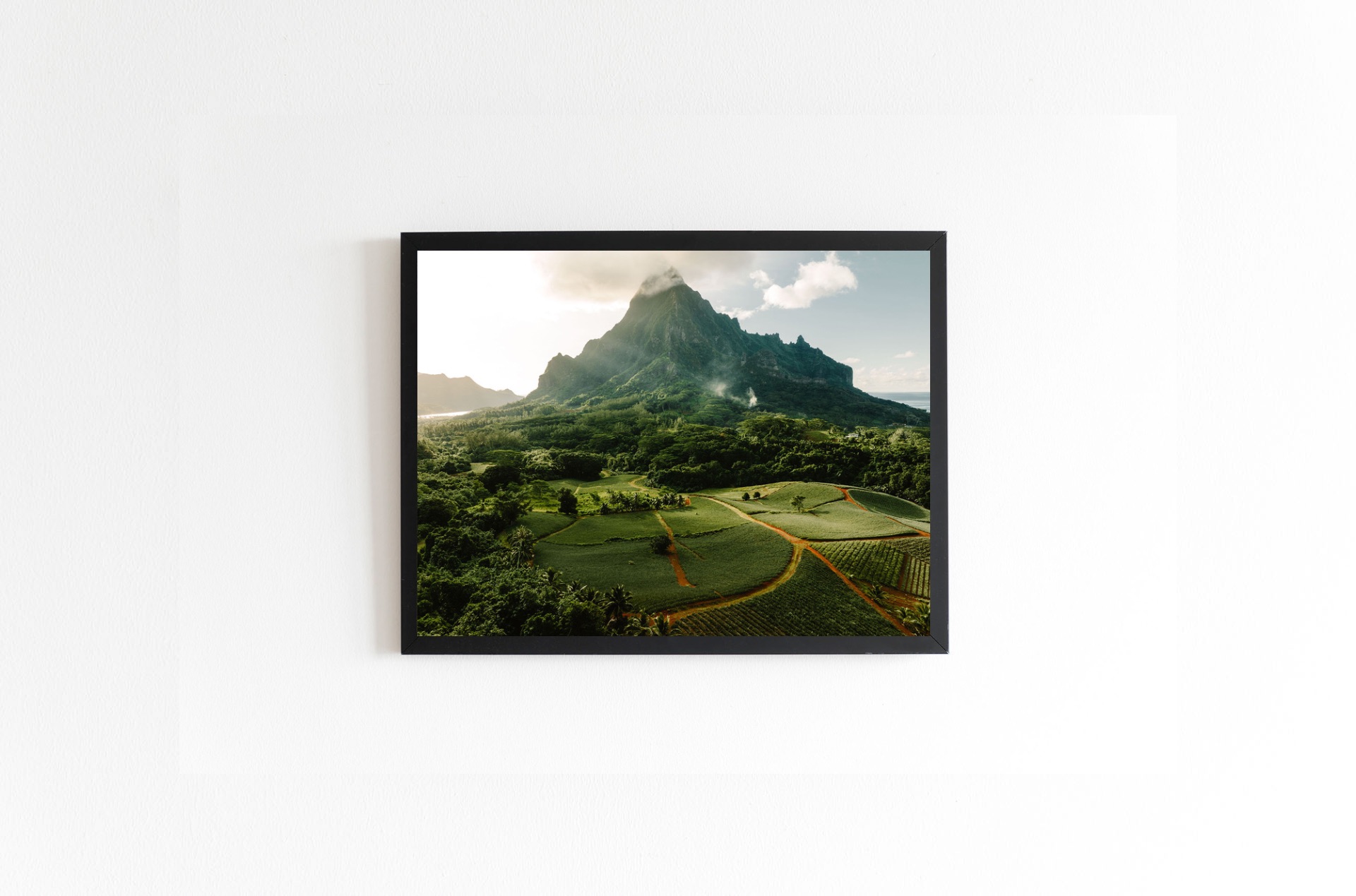 mt. Rotui mockup2