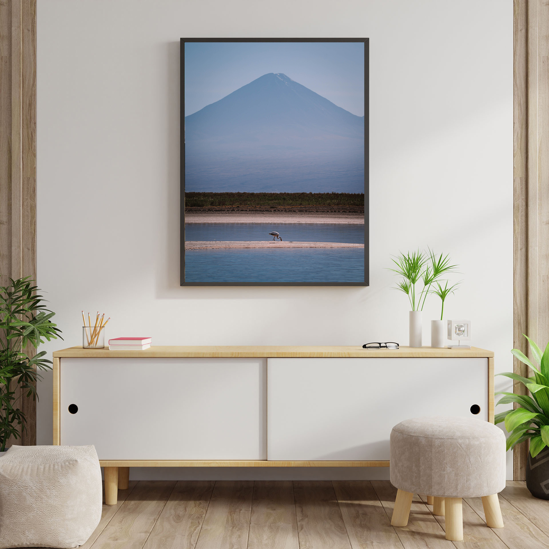 laguna-cejar-mockup
