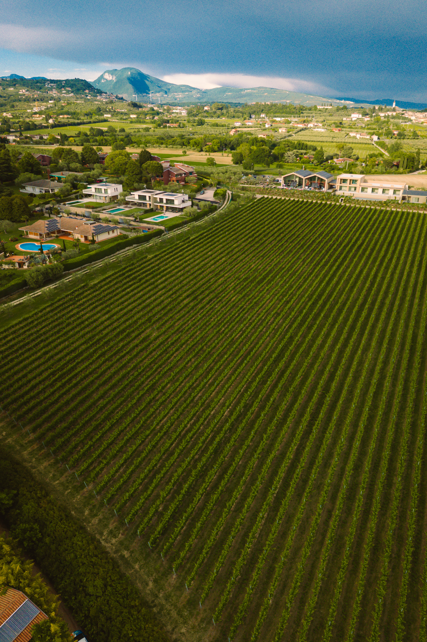 Winiarnia Casetto Terre di Lago