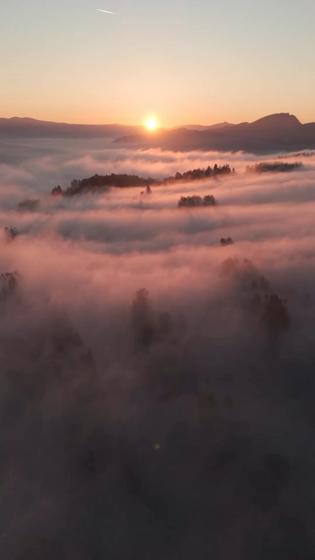 Dzień dobry 💕☁️

Zapraszamy na magiczny spektakl! ✨
W rolach głównych: góry, chmury i drzewa 🫧

Pięknego dnia! ☀️
.
.
.
#inwersja #pieniny #jezioroczorsztyńskie #wschódsłońca #dron #nadchmurami #jesień #polska #podhale