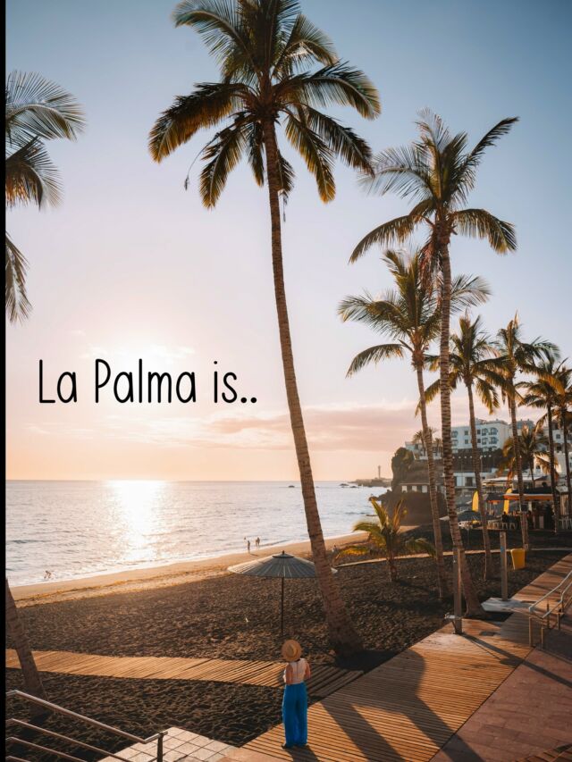 LA PALMA - Przeżyjmy to jeszcze raz! 💥
Tzn my bo Wam jeszcze nie relacjonowaliśmy naszej przygody na La Palmie! 😛 ale już dziś się to zmieni! 

Zacznijmy od przedstawienia kolorów jakie znajdziecie na La Palmje 💚💙🧡🖤🩷

Pięknie tam co? 😍
