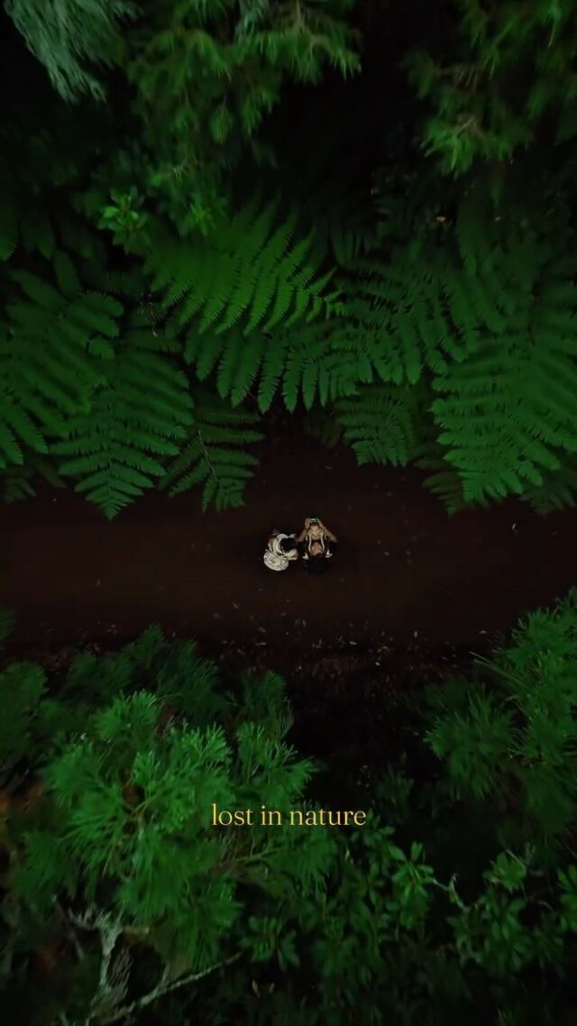 Pozdrowienia z Maderskiej dżungli! 🌿

• Madera • Levada • podróże z dzieckiem • dron