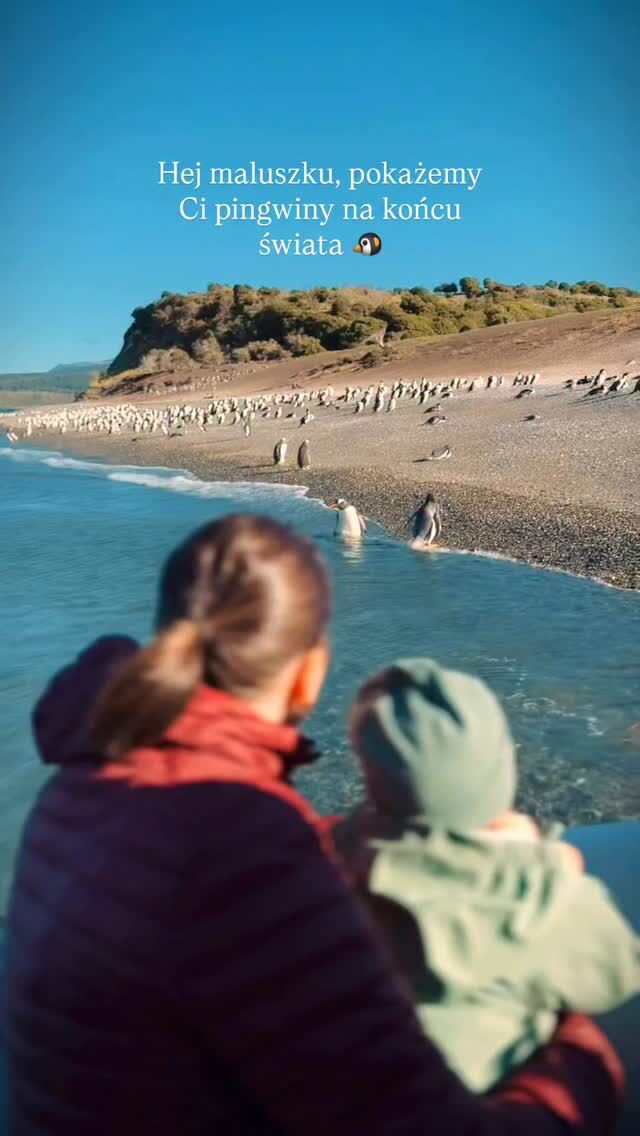 Poza pingwinami były jeszcze lwy morskie, wieloryby, kormorany i kondory! 🐋🦭🦅

Nie wiem jak ja się wyrobię z pokazywaniem Wam tych wszystkich pięknych rzeczy, które nas tu spotykają 🥹🩵 
Ale się postaram 😘

Argentyna • ziemia ognista • pingwiny • podróże z dzieckiem