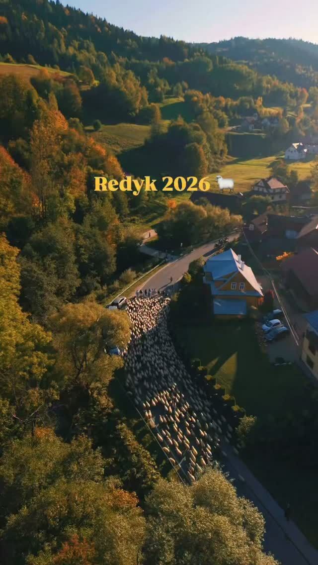 🐑🍂 Redyk jesienny w Ochotnicy Górnej 🍁🌾Tydzień temu mieliśmy okazję poczuć prawdziwy góralski klimat podczas redyku jesiennego w Ochotnicy Górnej. 🐑 To wyjątkowa tradycja, podczas której bacowie i juhasi wraz z owcami wracają z hal po zakończeniu sezonu wypasowego.Góralska kultura, piękne beskidzkie krajobrazy i zwyczaje przekazywane z pokolenia na pokolenie tworzą niepowtarzalną atmosferę. ❤️🏔️• Redyk Jesienny •OchotnicaGórna • Góry •